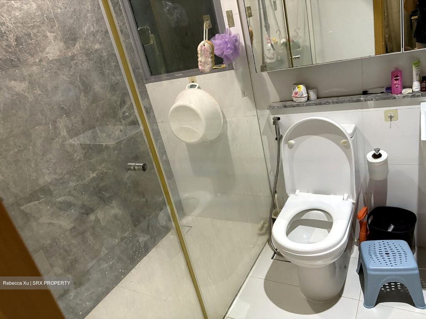 Eight Courtyards (D27), Condominium #503720011